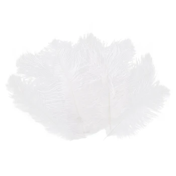 60 броя естествен бял страусиного пера 20-25 см Сватбени теми